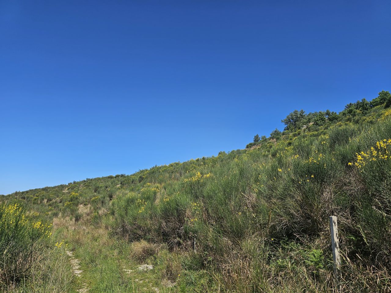 5 Radhime, Vlore 9426